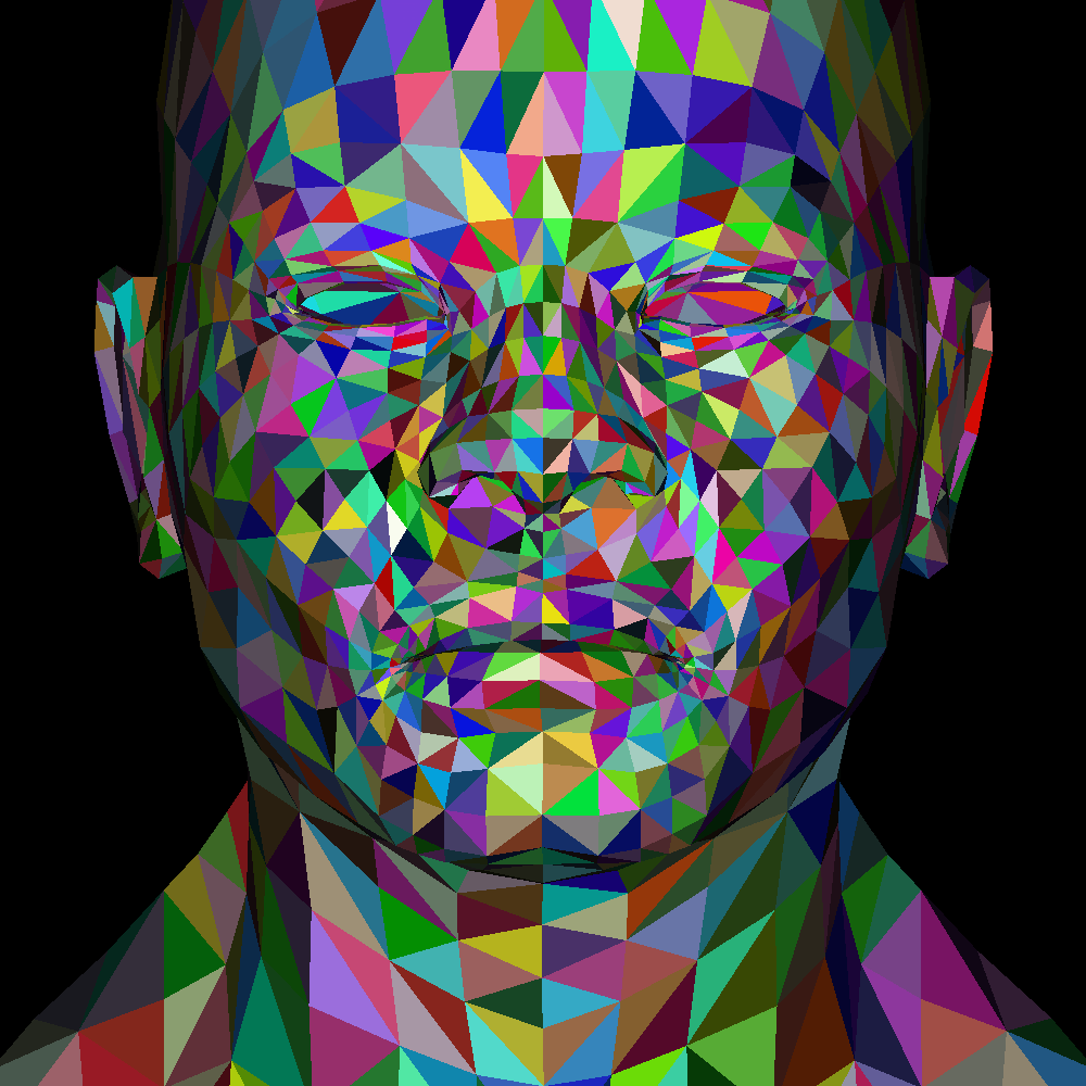 Head