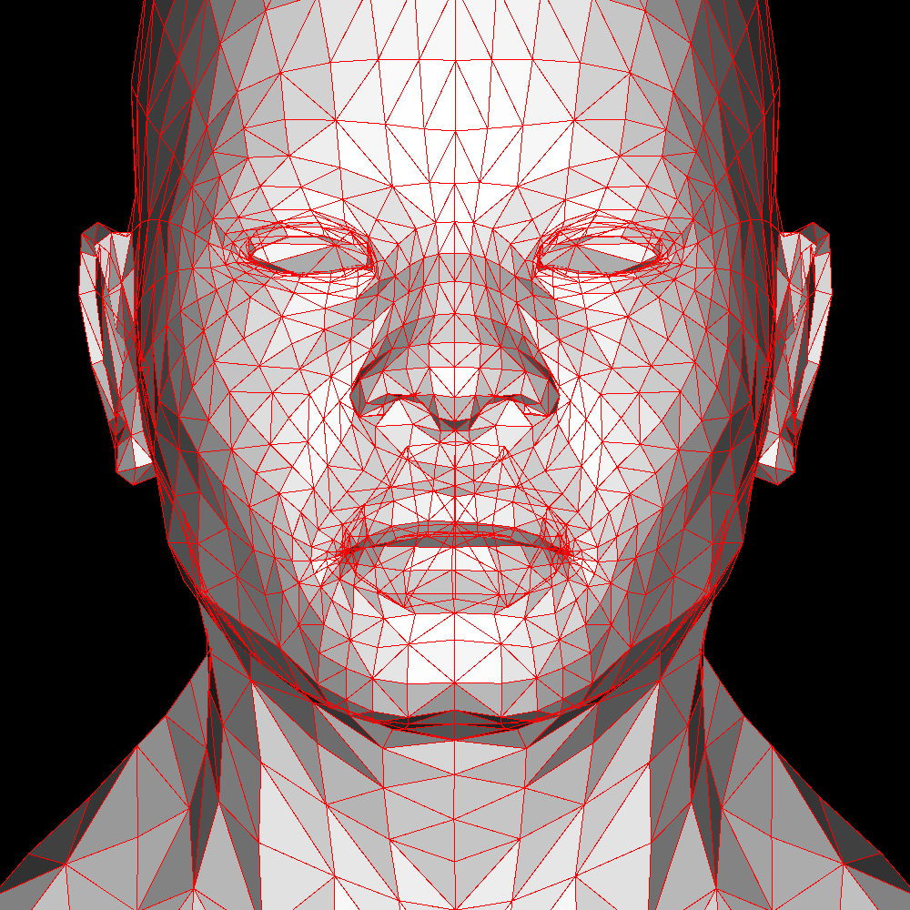 Head